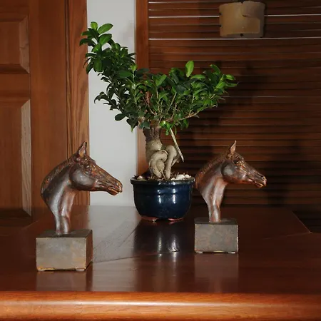 Hotel Philippeio Krinídhes